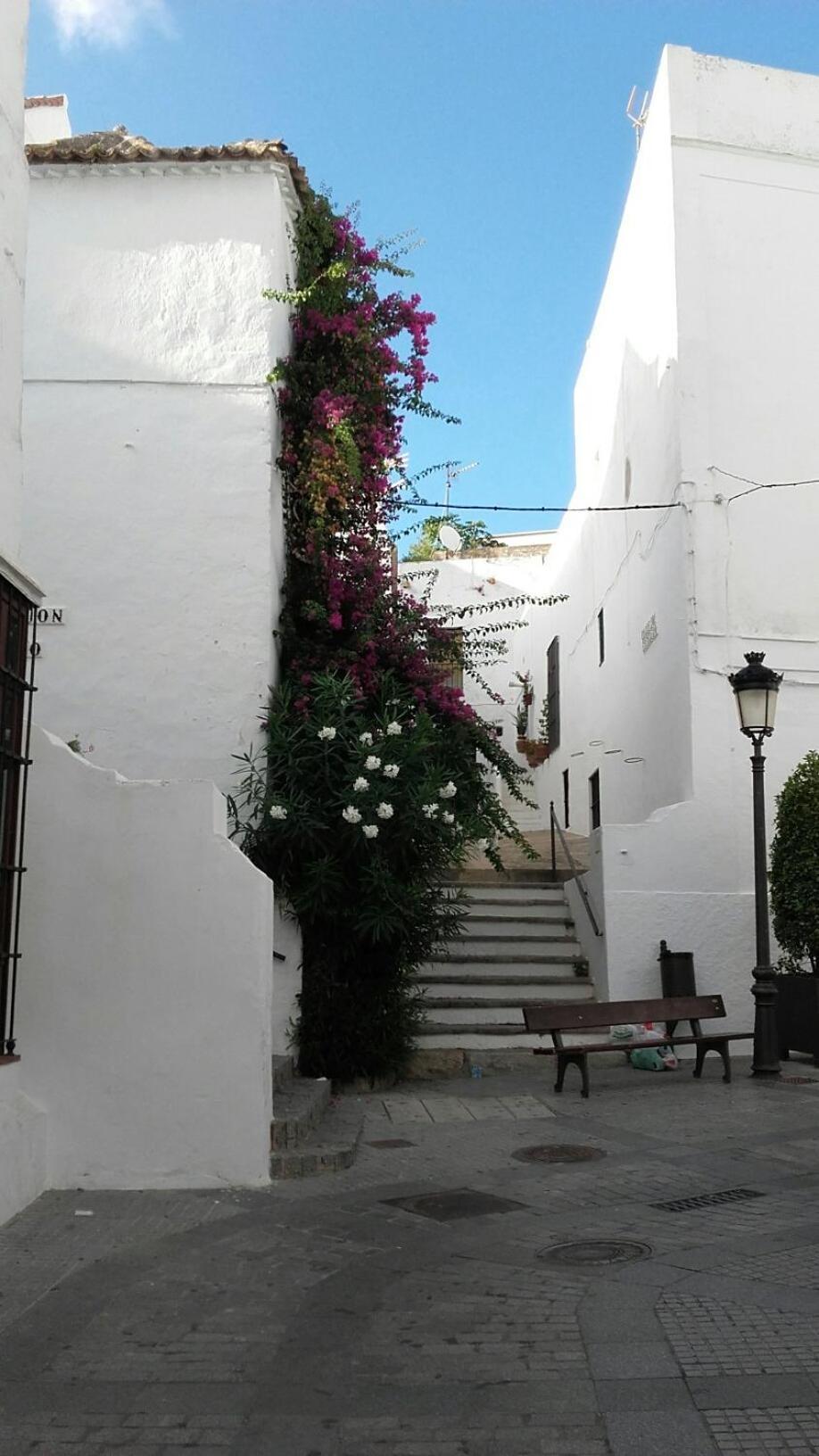 Casa Calle Alta Maria Bajo Вехер де ла Фронтера Екстериор снимка